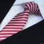 Férfi nyakkendő T1208 8