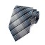 Férfi nyakkendő T1213 10