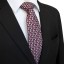 Férfi nyakkendő T1236 7