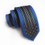 Férfi nyakkendő T1263 28