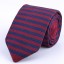 Férfi nyakkendő T1269 10