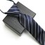 Férfi nyakkendő T1277 27