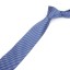 Férfi nyakkendő T1281 5