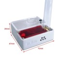 Fermette à fourmis compacte boîte d'élevage 70 x 67 x 28 mm système d'observation en plastique pour l'élevage et le suivi des fourmis 6