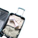 Ferro de vapor manual P3861 3