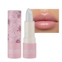 Feuchtigkeitsspendender, wasserfester, samtmatter Lippenstift. Langanhaltender, wasserfester, matter Lippenstift mit feuchtigkeitsspendendem Lipgloss. Matte, wasserfeste Lippenstift-Lippenglasur 1