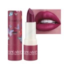 Feuchtigkeitsspendender, wasserfester, samtmatter Lippenstift. Langanhaltender, wasserfester, matter Lippenstift mit feuchtigkeitsspendendem Lipgloss. Matte, wasserfeste Lippenstift-Lippenglasur 7