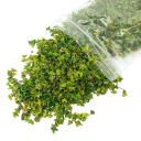 Feuillage miniature 33 ml 0,5–2 mm Feuilles en résine pour diorama Décorations de paysage et de chemin de fer 6