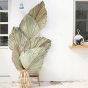 Feuille de palmier décorative 2