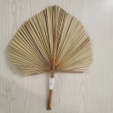 Feuille de palmier décorative 3