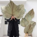 Feuille de palmier décorative 4
