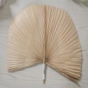 Feuille de palmier séchée 2