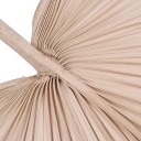 Feuille de palmier séchée 4