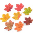 Feuilles d'érable décoratives - 100 pcs 13