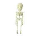 Figura decorativa esqueleto que brilla en la oscuridad 18 x 4 x 3 cm decoración de Halloween figura fosforescente para interiores 1