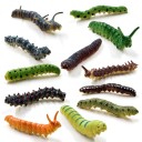 Figuras de oruga 12 uds. 1