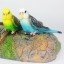 Figurina Budgerigar 2