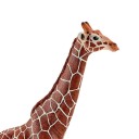 Figurina giraffa 4