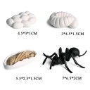 Figurines cycle de vie d'une araignée 4 pcs 2