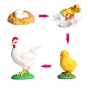 Figurines cycle de vie de la poule 4 pcs 1