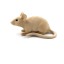 Figurka myszy A1067 3