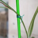 Fil de fixation des plantes 5