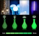 Filamento PLA 1,75 mm 200 g Blanco de día y verde fosforescente de noche hilo que brilla en la oscuridad para impresión 3D decoraciones 4