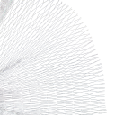 Filet anti-oiseaux blanc en nylon 2 x 10 m Maille 2,5 x 2,5 cm Filet de jardin pour arbres Parterres Vignobles Contre les oiseaux Filet de protection pour récolte 3
