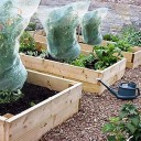 Filet de protection pour plantes contre les oiseaux et les nuisibles 80×150 cm filet en nylon blanc pour couvrir les arbres fruitiers et les plantes 2