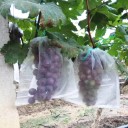 Filet de protection pour raisins 50 pièces 1