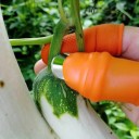 Fingerbeskyttelse ved beskæring af planter 2
