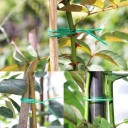 Fio para fixação de plantas 2