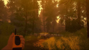 Firewatch Playstation 5 Account 4