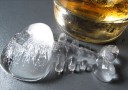 Fish-Shaped Ice Cube Tray 6