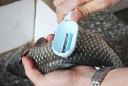 Fiskeskælskraber 4
