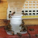 Flaschentränke für Bienen 10 Stk 3