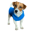 Fleece-Hundekleidung, warmer Kapuzenpullover mit Kragen, Hunde-Winterkleidung, bequeme warme Hundeweste 4