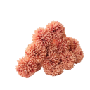 Fleur décorative hortensia 29 cm 5 pcs 11