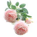 Fleurs artificielles pour décoration 3 pcs Ensemble de pivoines artificielles Fleurs décoratives 5