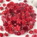 Fleurs décoratives artificielles réalistes 20 pièces en soie pour la décoration de mariage et la création de décorations 3