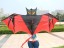 Fliegender Drache - Fledermaus 2