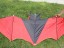 Fliegender Drache - Fledermaus 3