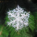 Flocons de Noël Décoratifs - 30 pièces 1