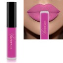 Fløjlsmat flydende læbestift med vandfast effekt Langtidsholdbar lipgloss Vandfast fløjlslæbestift 19