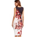 Floral Print Bodycon Dress 8