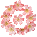 Flores artificiales para decoración 30 uds. Set de flores artificiales Flores decorativas 14
