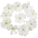 Flores artificiales para decoración 30 uds. Set de flores artificiales Flores decorativas 2
