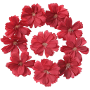 Flores artificiales para decoración 30 uds. Set de flores artificiales Flores decorativas 3