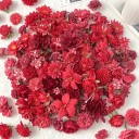 Flores decorativas artificiales realistas 20 pcs de seda para arreglos, decoración de mesas y creación de decoraciones para bodas 3