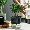 Flower Pot with Saucer H916 5